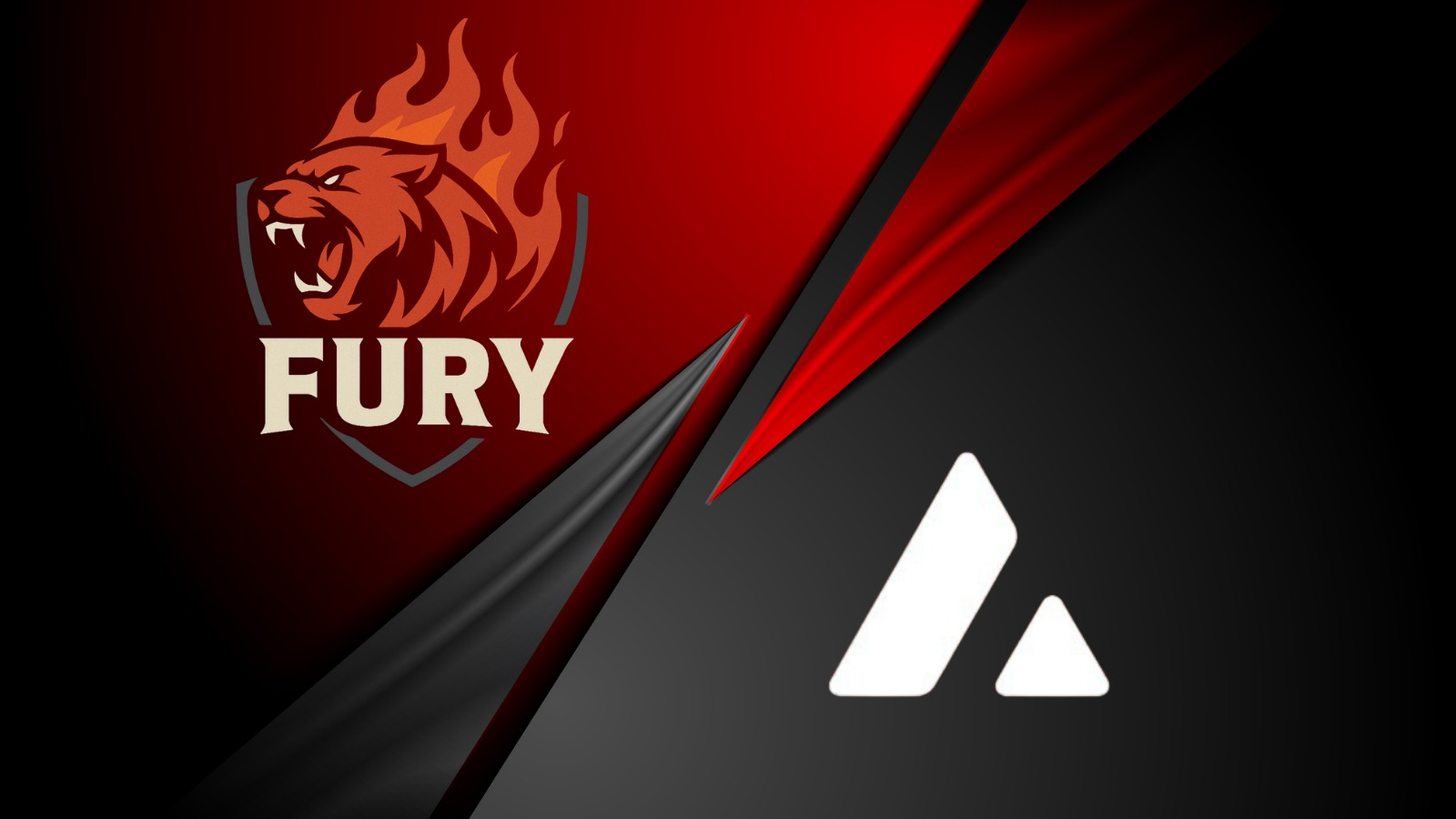 Avalanche Partnership